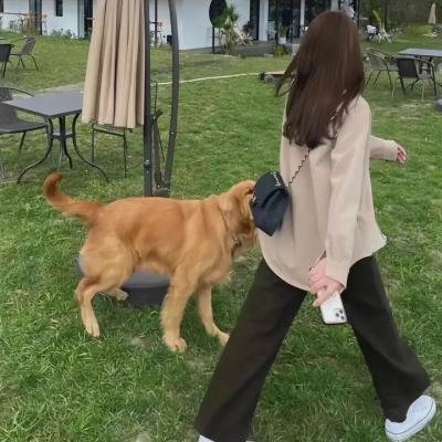 这些女人